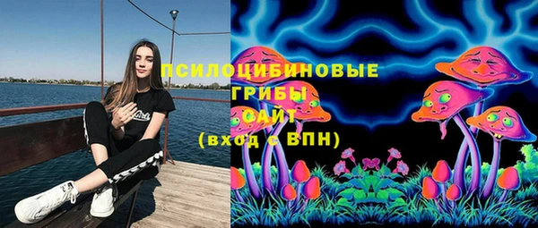 мет Горняк