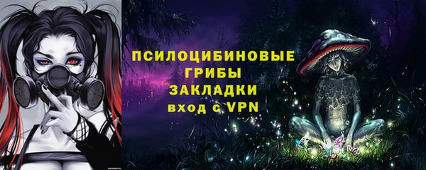 дживик Горно-Алтайск