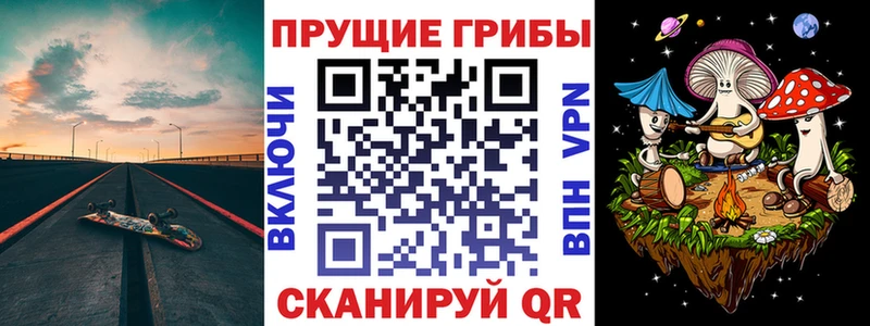 Псилоцибиновые грибы Cubensis  Купить где  Рудня 